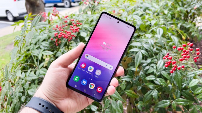 Samsung galaxy a 53